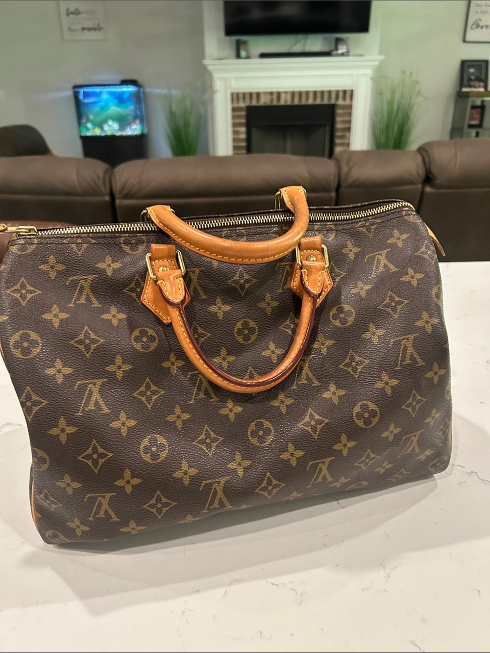 Louis Vuitton Brown Monogram Satchel with Tan Handles